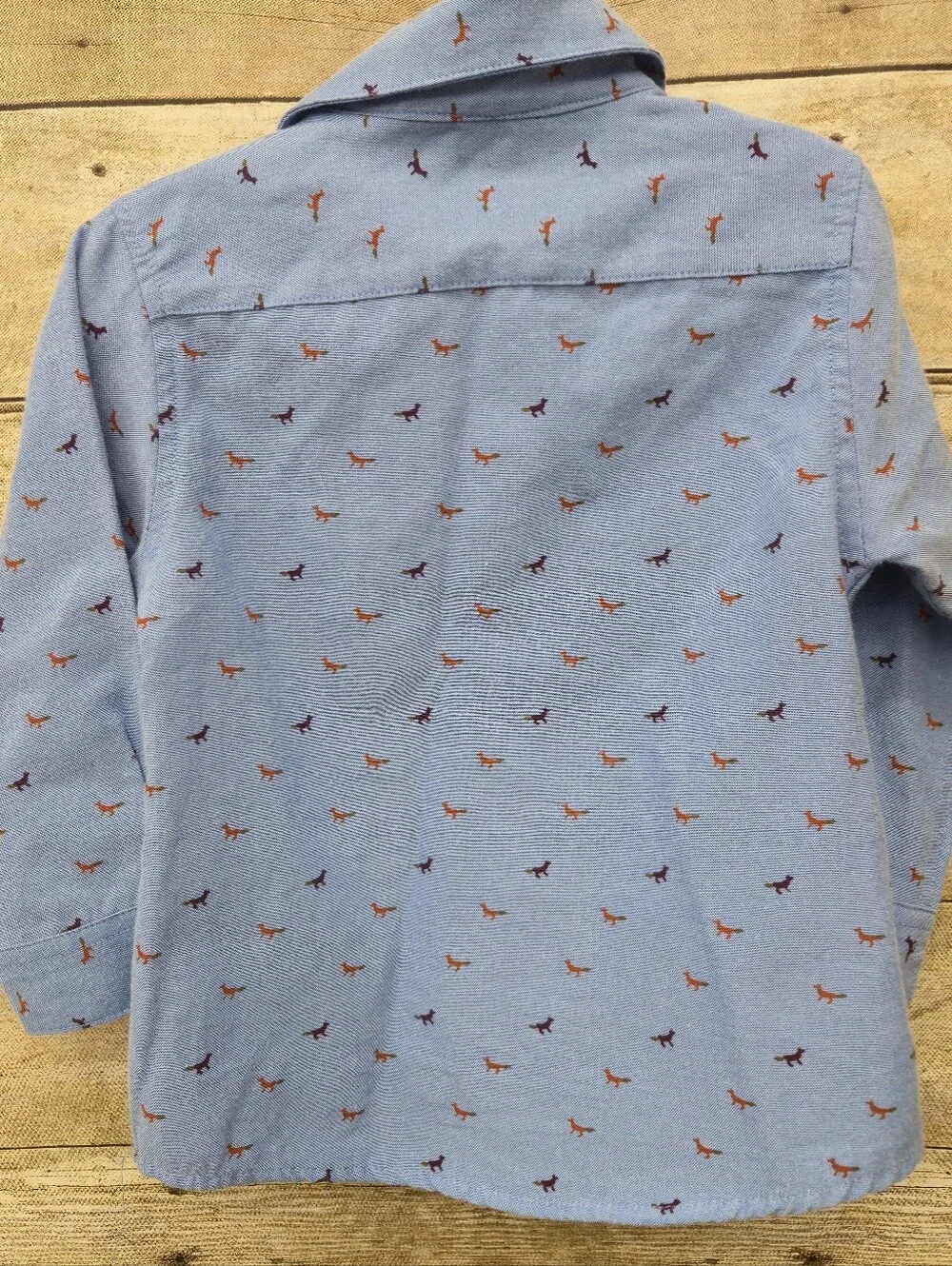 First Wave Boys Button Down Foxes